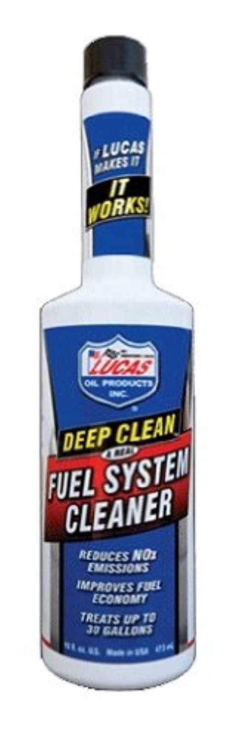 16 oz. Fuel System Cleaner Case of 12 H5966