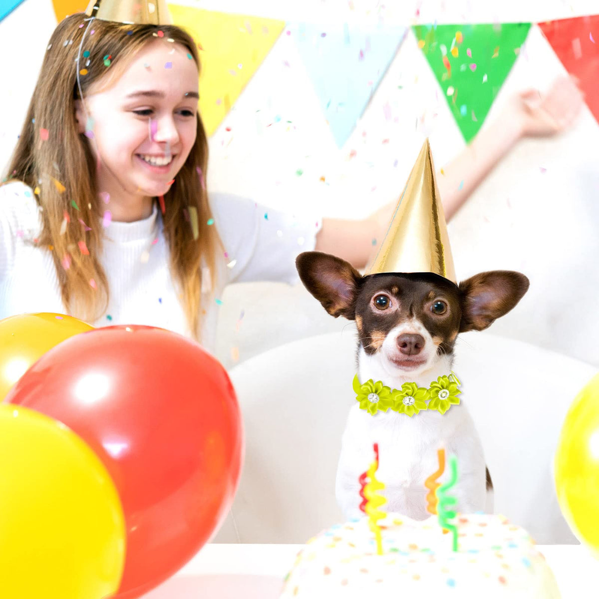 80 Pcs Dog Bowtie Flower Collar Adjustable T39897