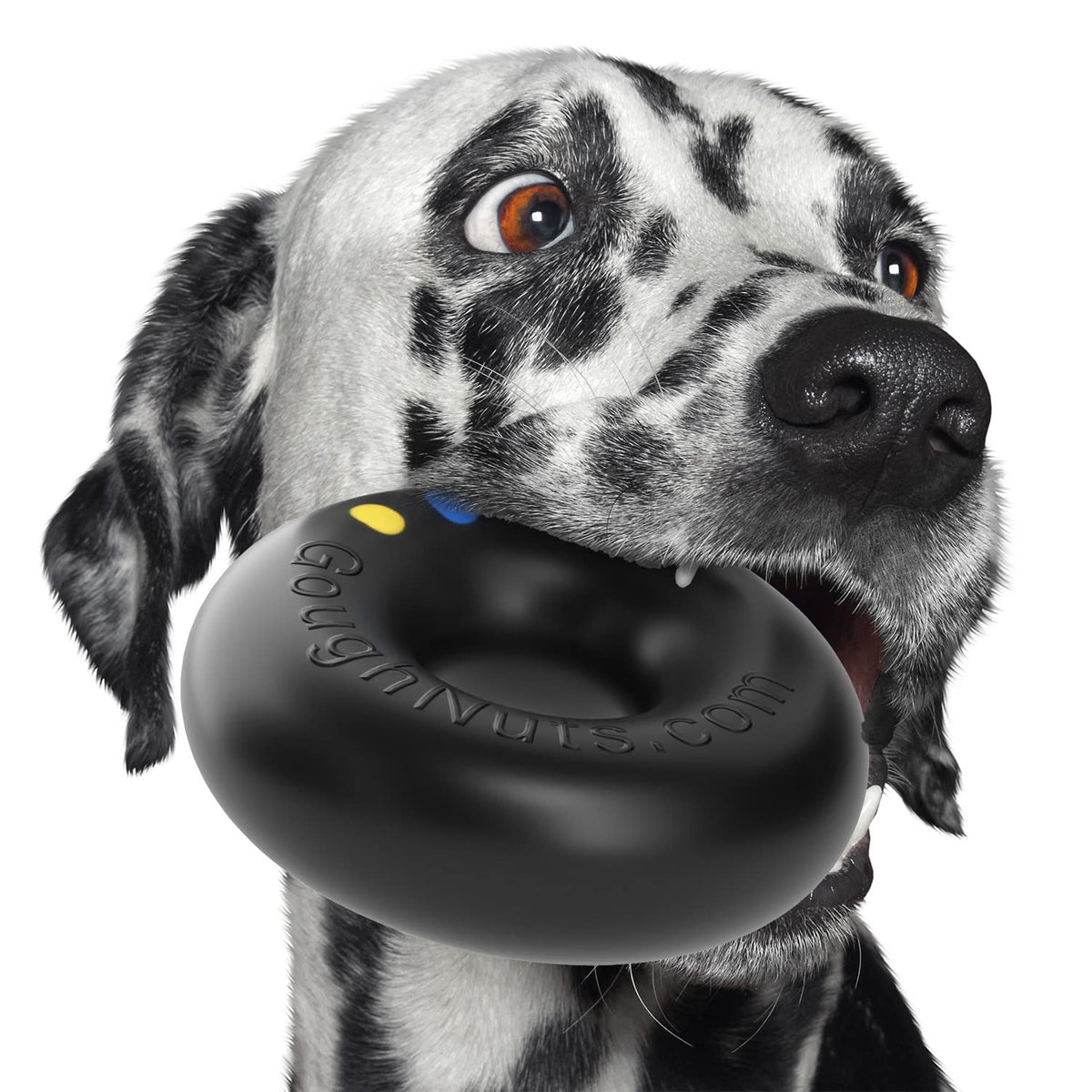 Black Dog Toys for Aggressive Chewers E8460