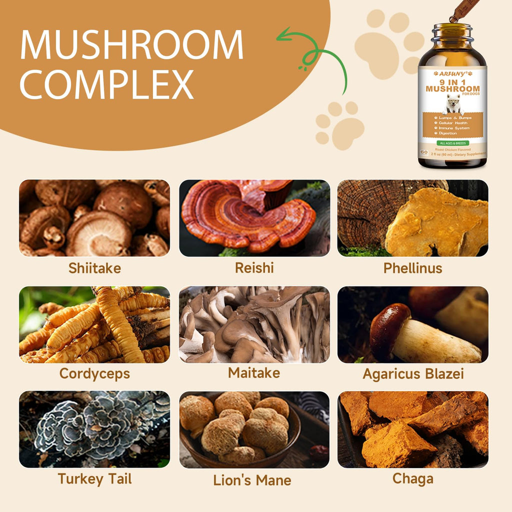 9 in 1 Mushroom for Dogs F547972