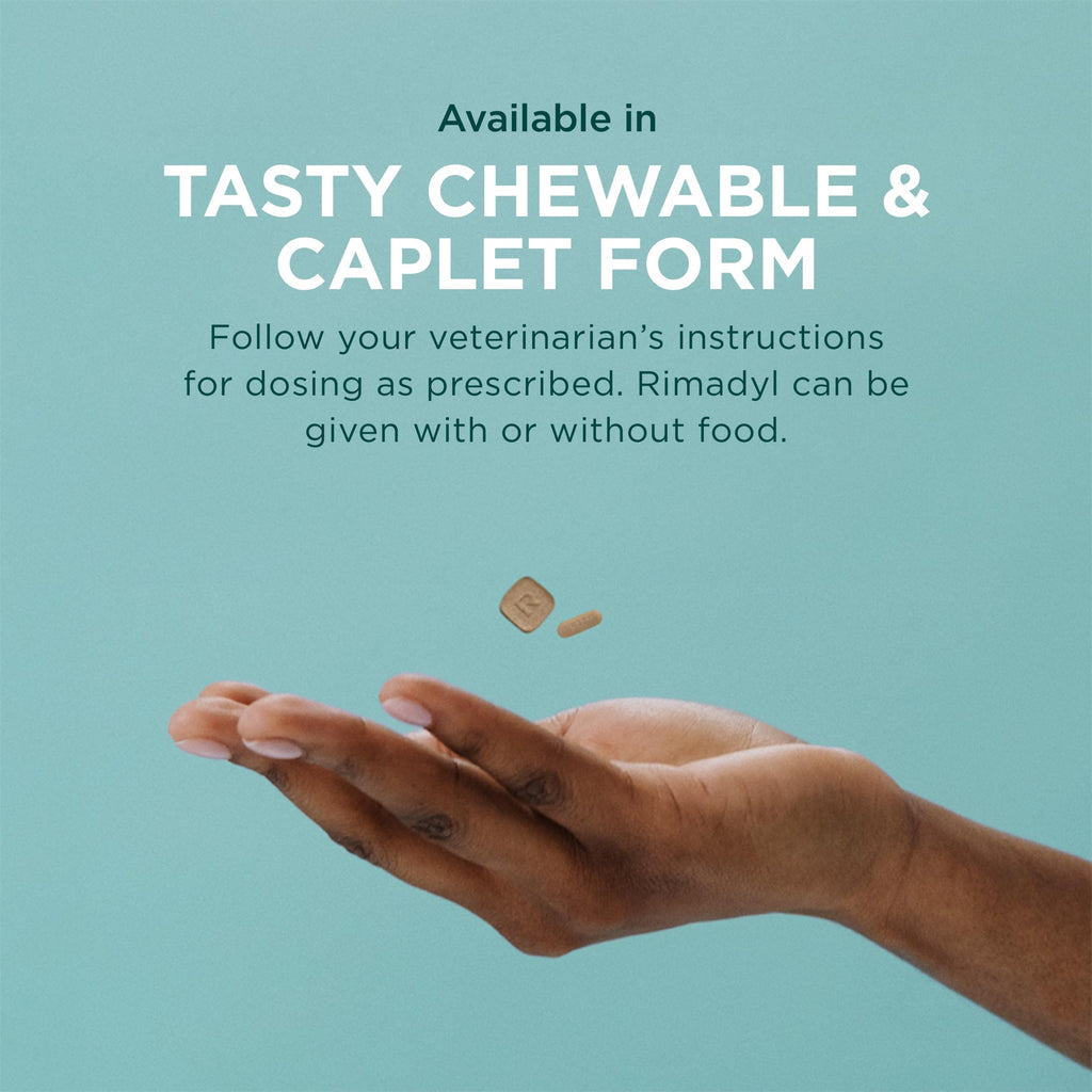 75 mg Chewable Tablets I52803