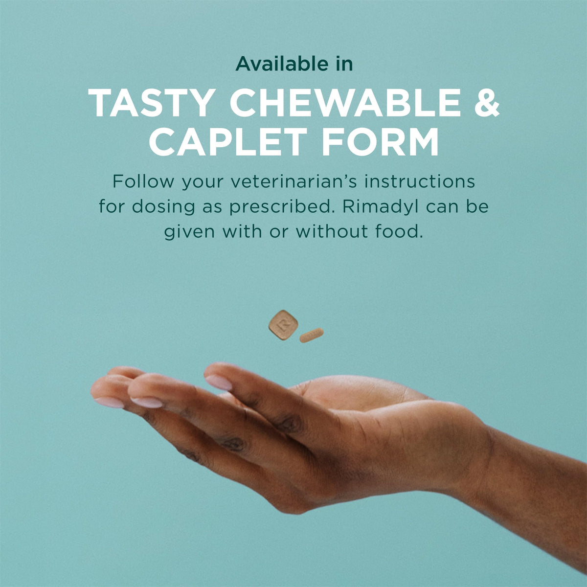 75 mg Chewable Tablets I52803