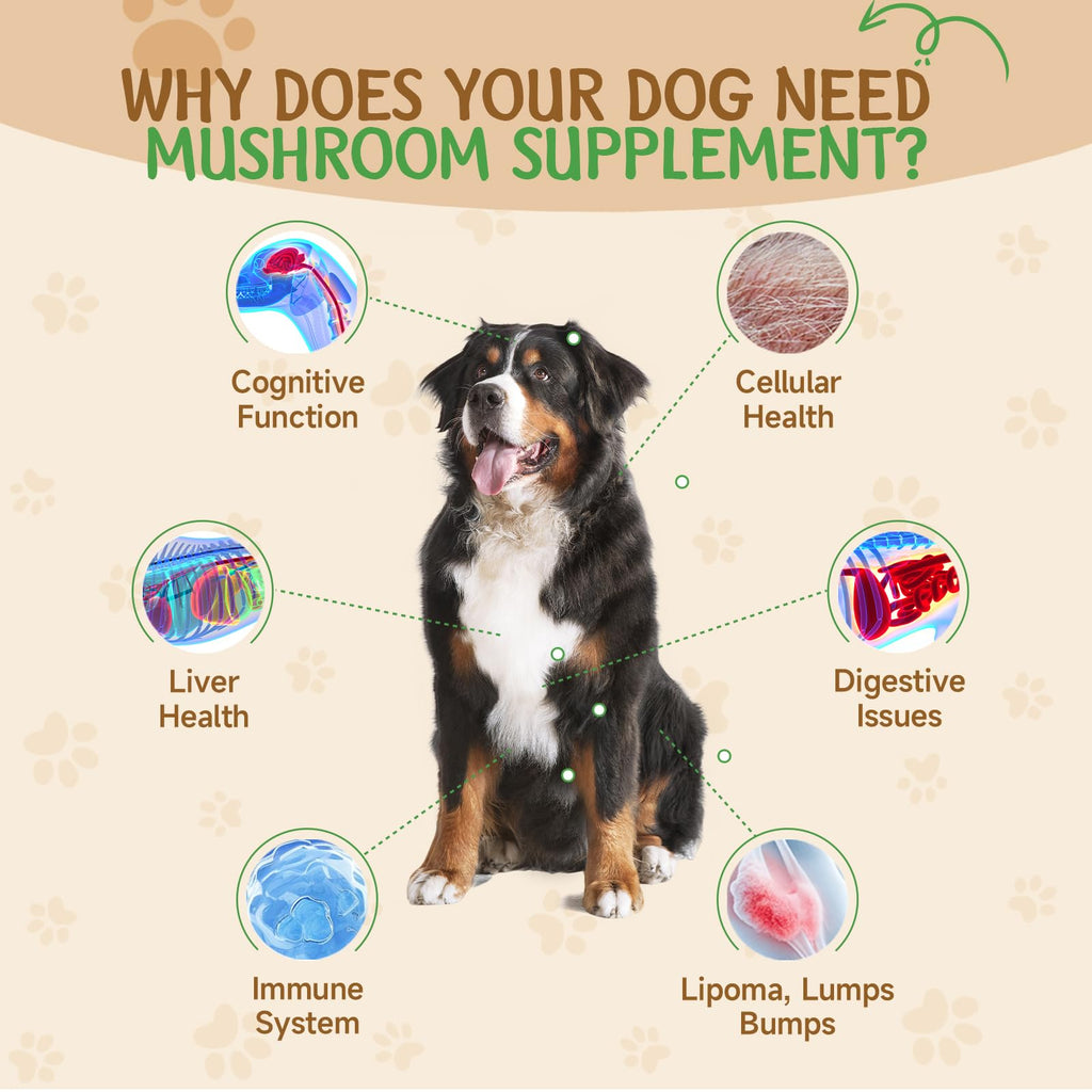 9 in 1 Mushroom for Dogs F547972