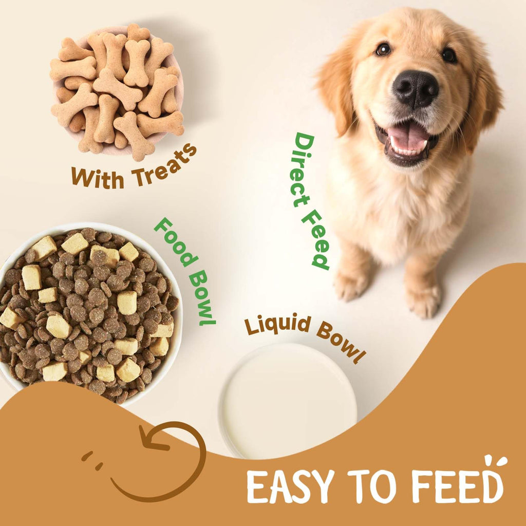 9 in 1 Mushroom for Dogs F547972