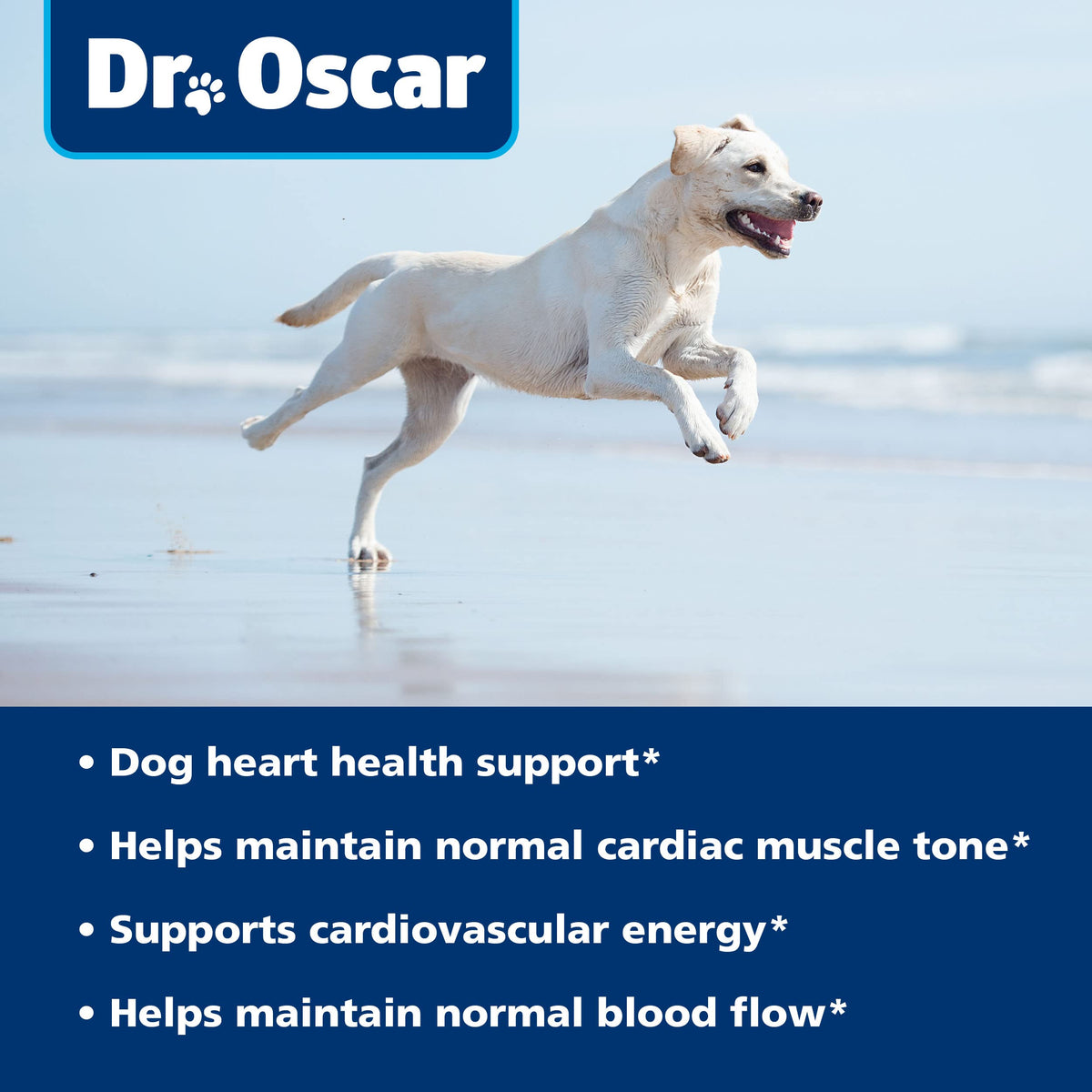 Taurine Supplement for Dogs 120ct G473375