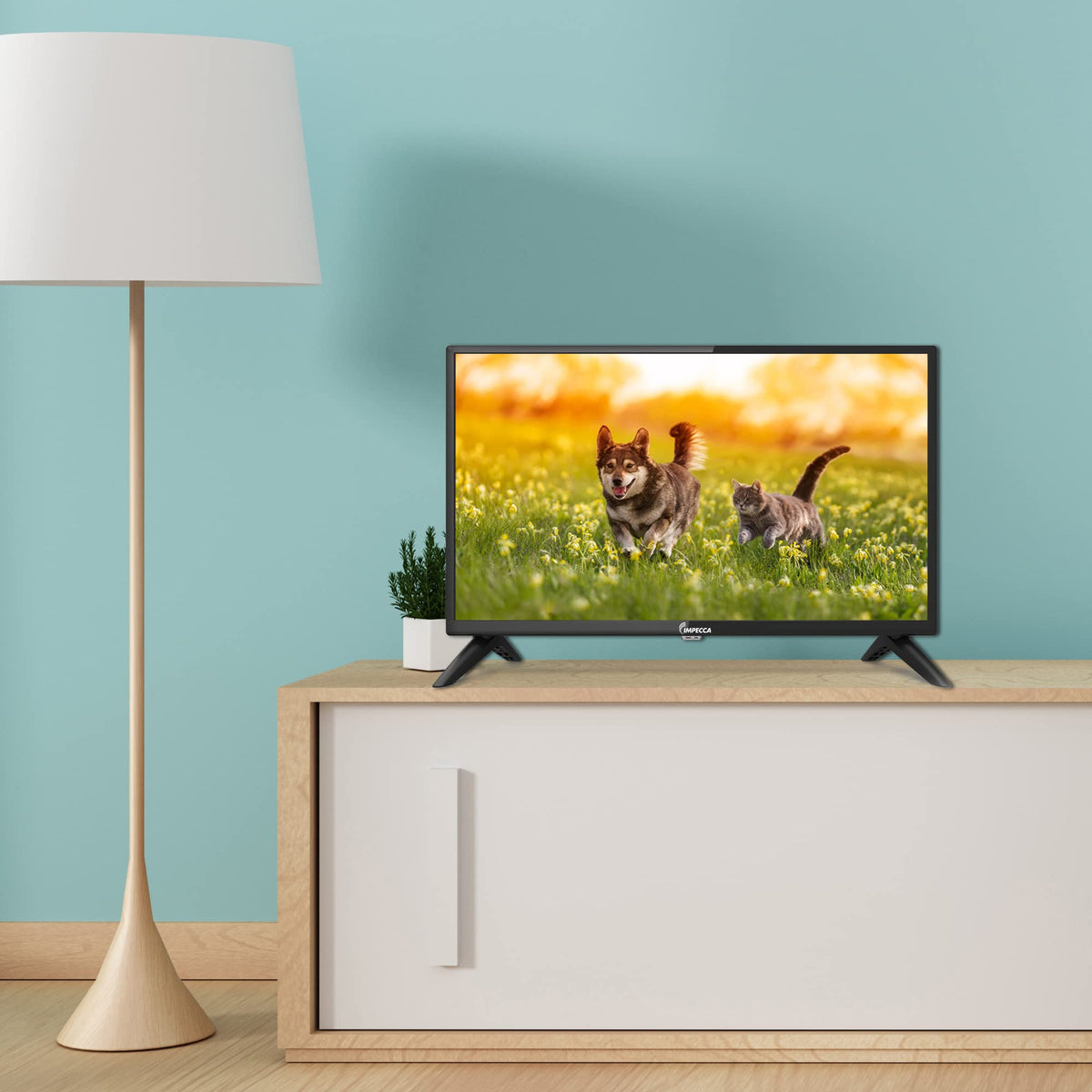 24 inch HD 720p LED TV I904