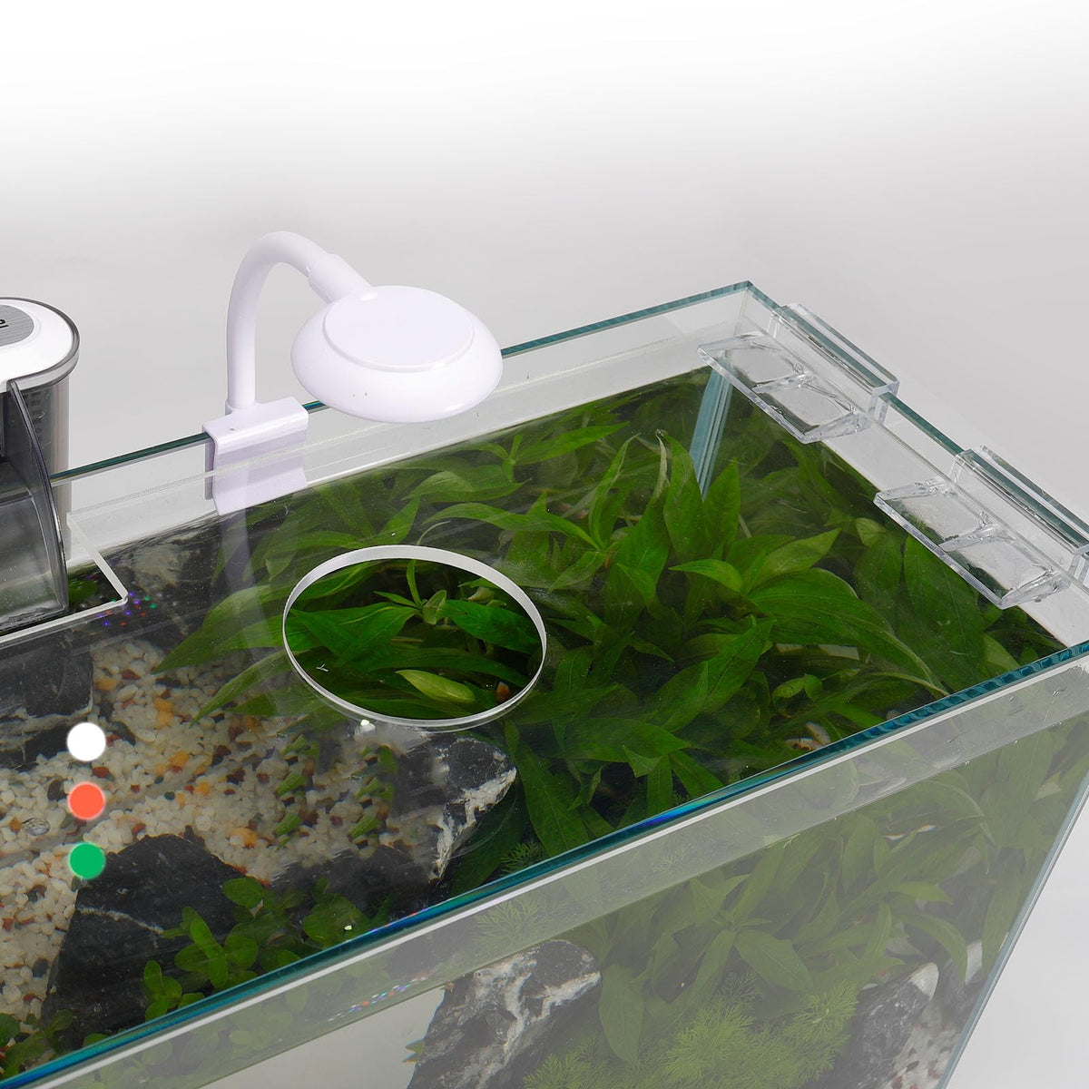 3 Gallon Glass Fish Tank Starter Kit with Filter E796