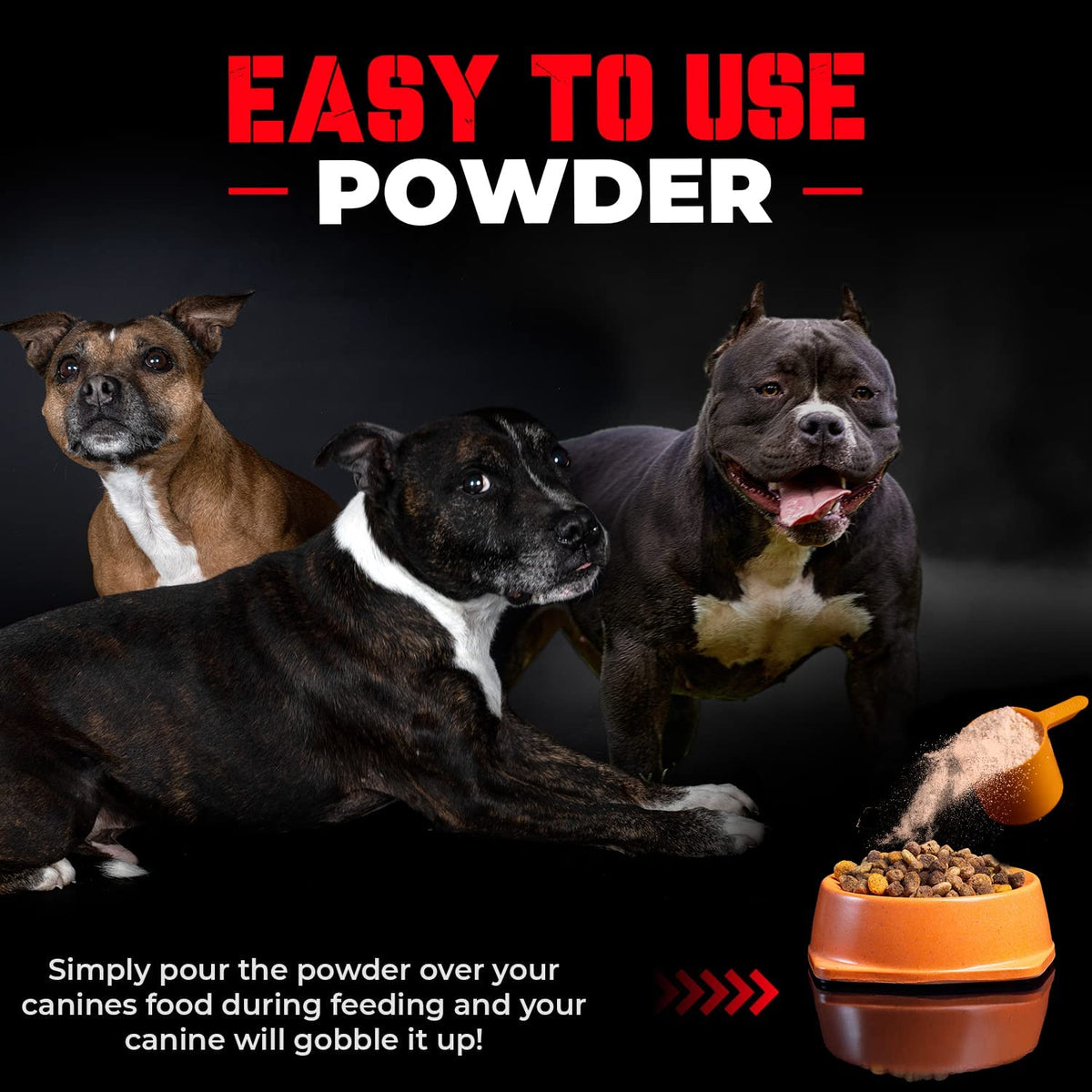 Real Meat Protein Powder for Dogs 60 Servings N831669