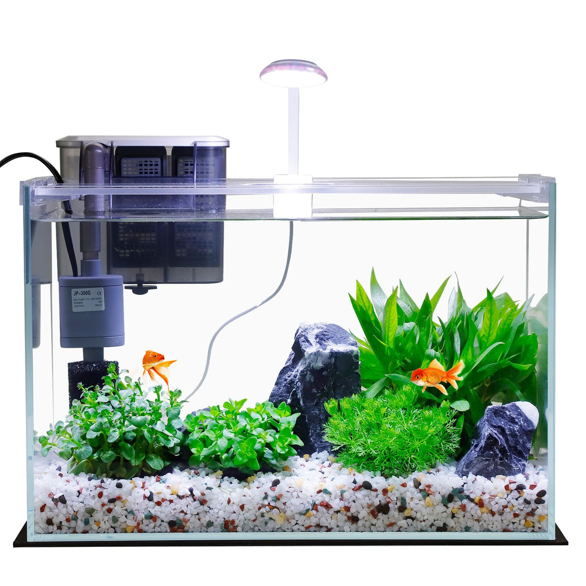 3 Gallon Glass Fish Tank Starter Kit with Filter E796