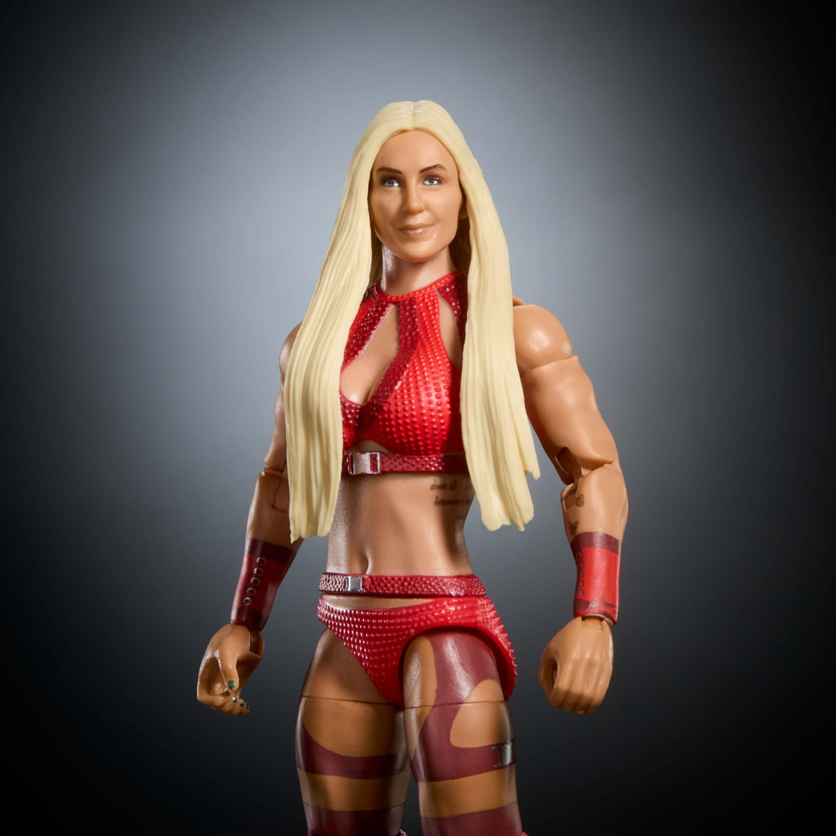 WWE Elite Collection Action Figure & Accessories Set C56009