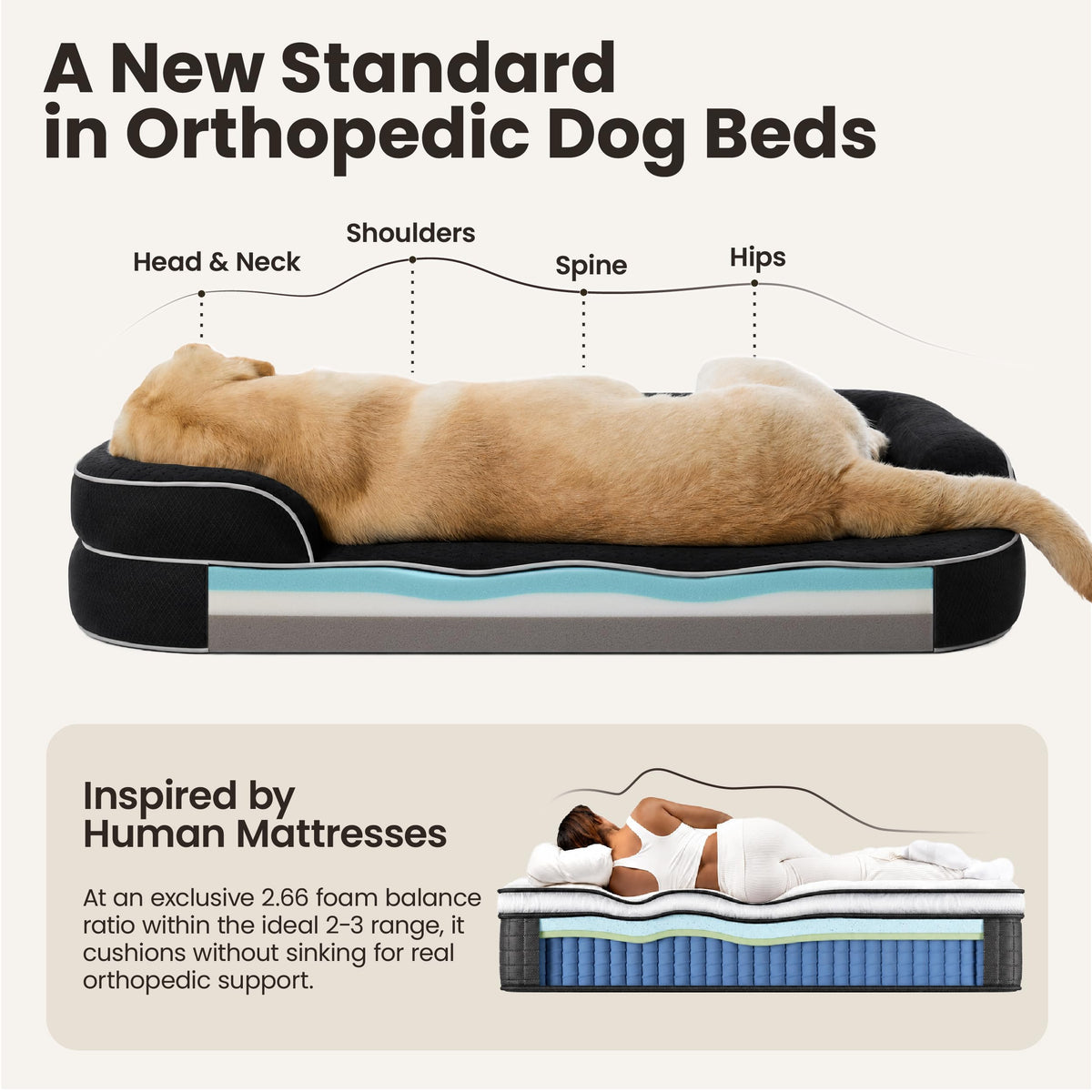 Black 42" Orthopedic Dog Beds Y27114