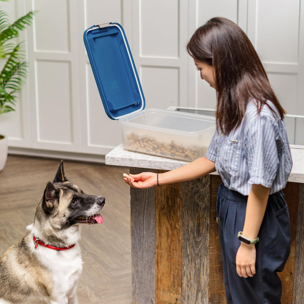 Dog Food Storage Container, Up to 11 lbs, Navy A61255
