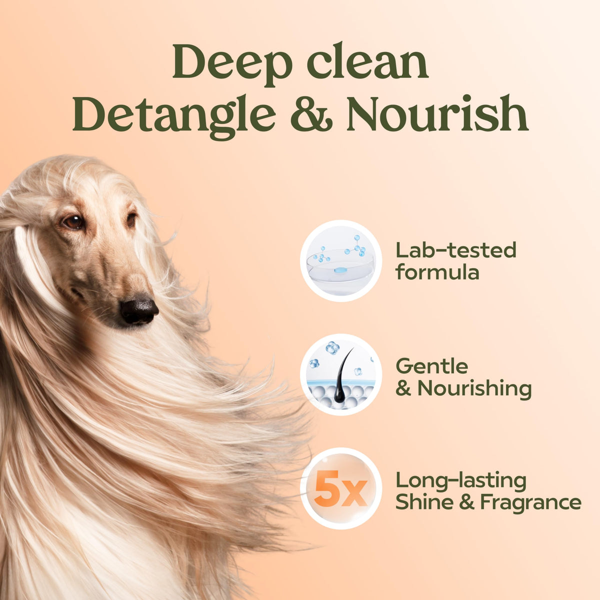 Dog Shampoo and Conditioner A5558