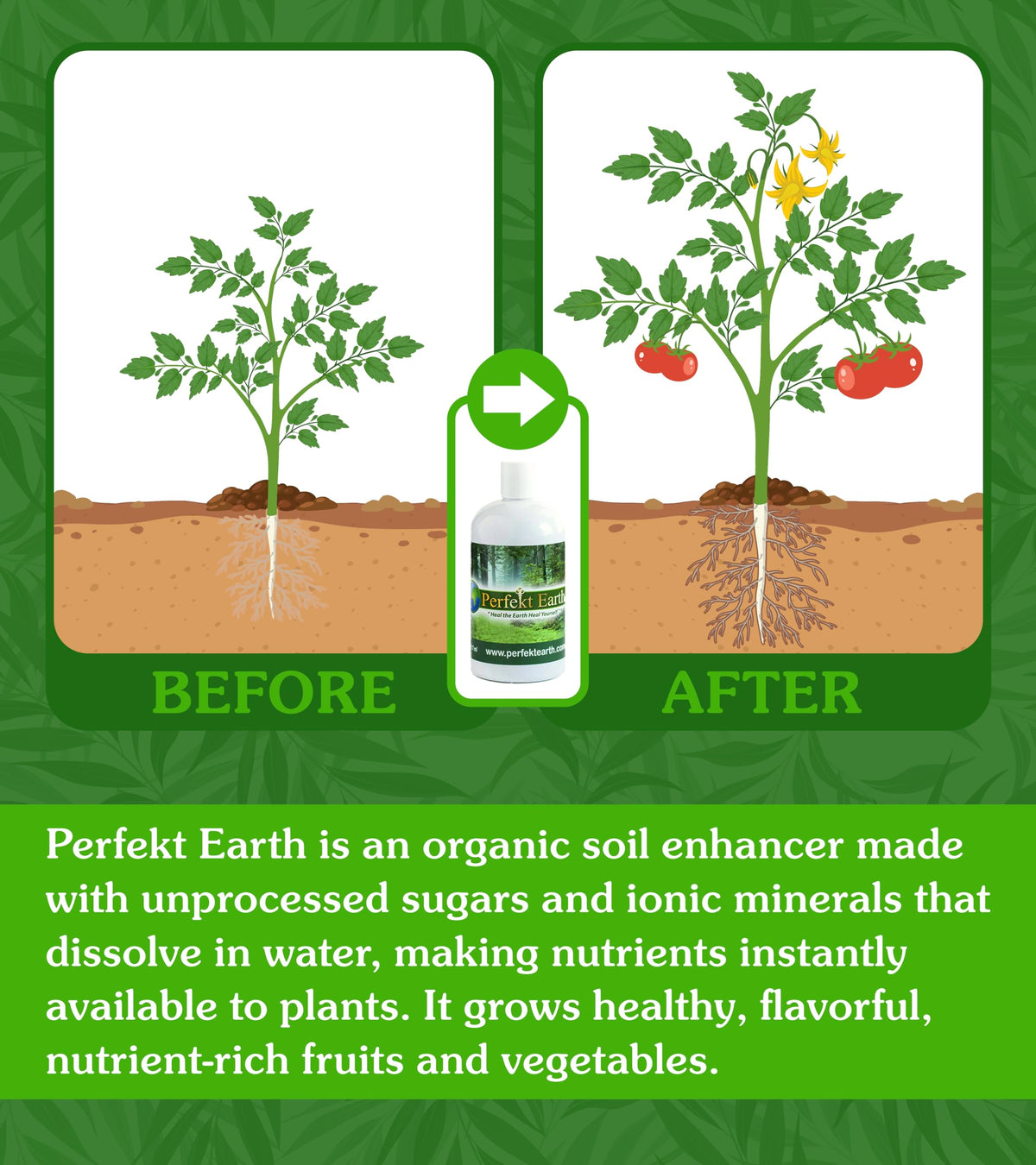 Organic Liquid Fertilizer 1 Pint C345437