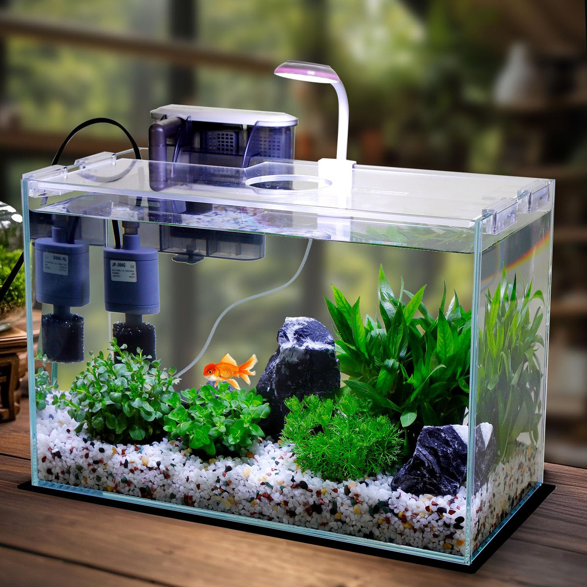 3 Gallon Glass Fish Tank Starter Kit with Filter E796