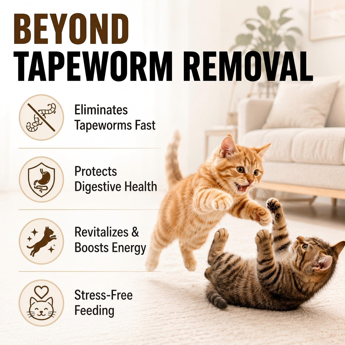 Cat Tapeworm Dewormer Liquid 100 mL X168444