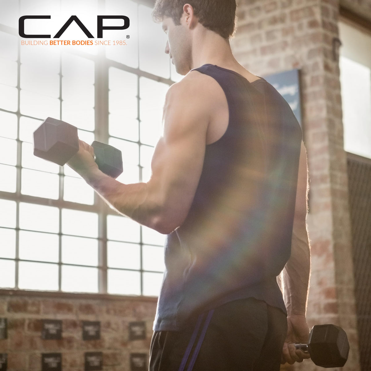 Rubber Coated Hex Dumbbells Q7250
