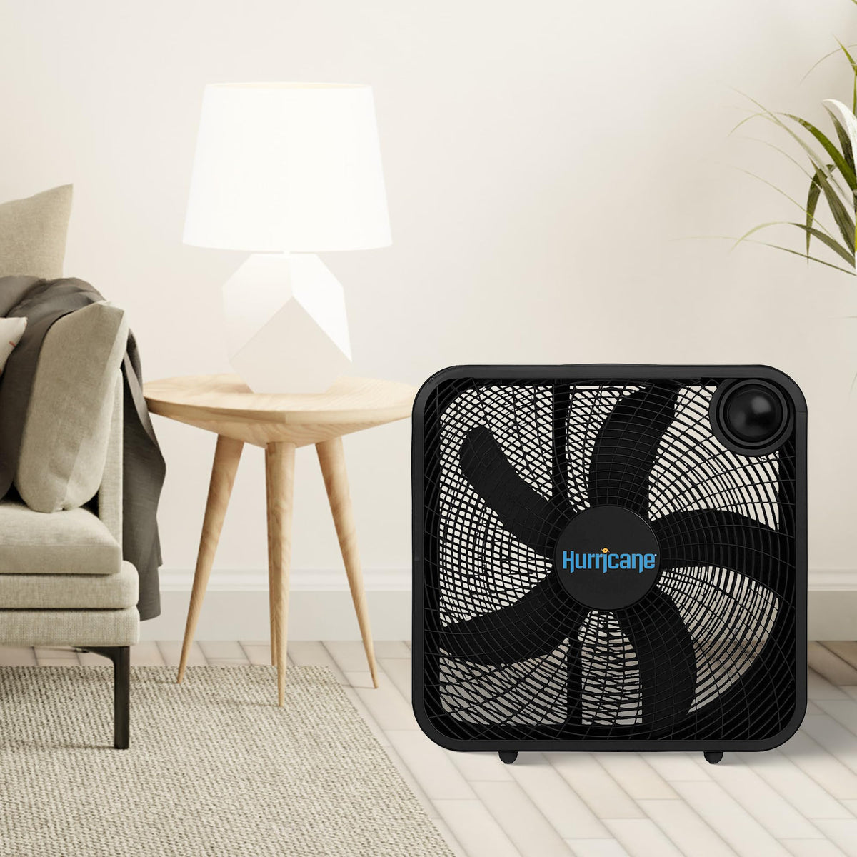 Black 3 Speed 20in Floor Box Fan S783920