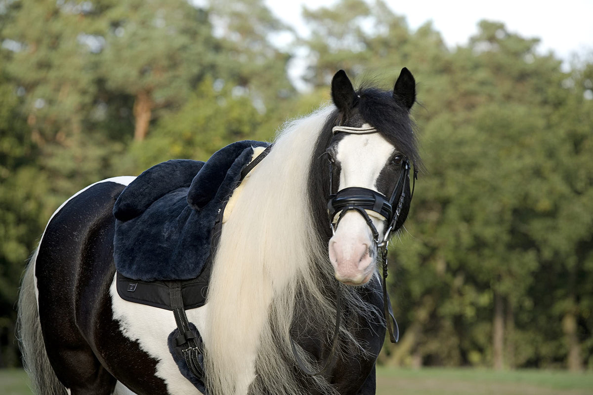 Horse Bareback Pad Treeless Saddle Real Sheepskin E104