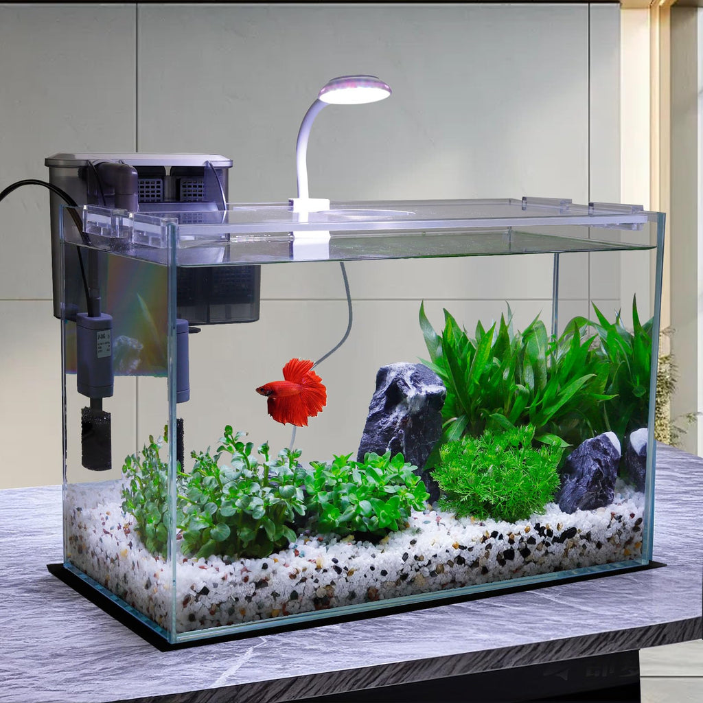 3 Gallon Glass Fish Tank Starter Kit with Filter E796
