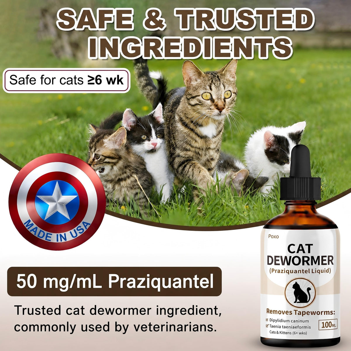Cat Tapeworm Dewormer Liquid 100 mL X168444