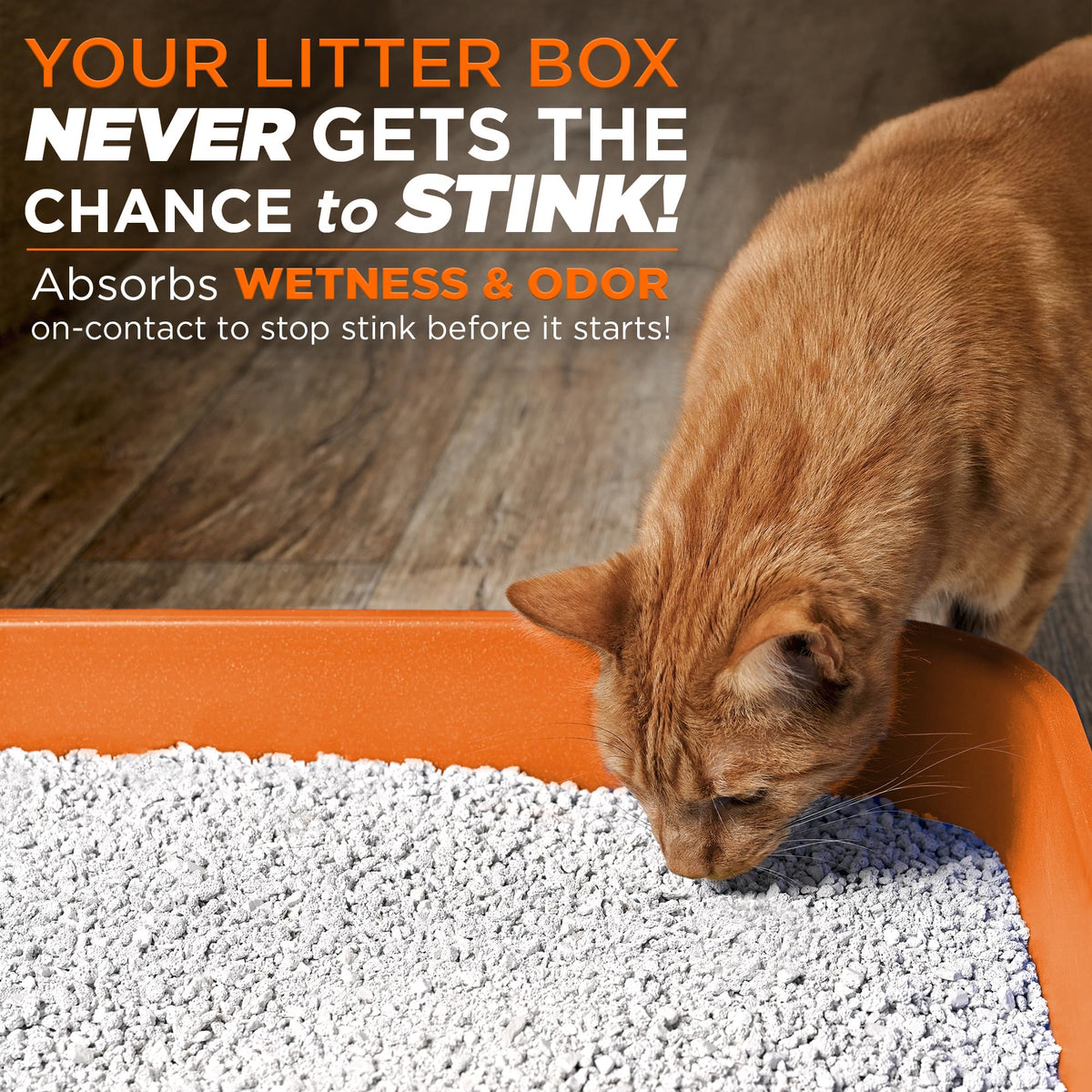 Cat Litter Odor Eliminator Additive 16 fl oz Bottle X66788
