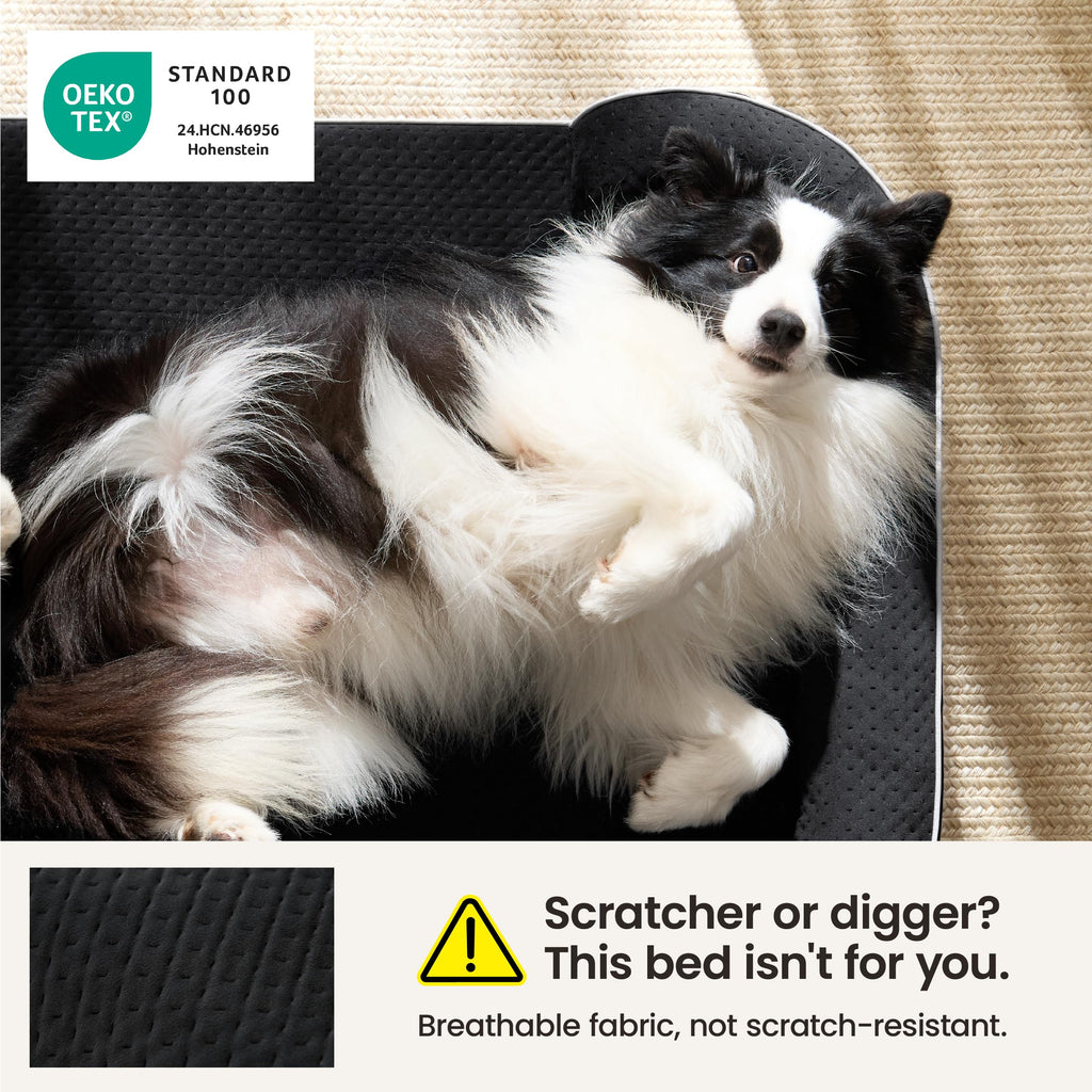 Black 42" Orthopedic Dog Beds Y27114